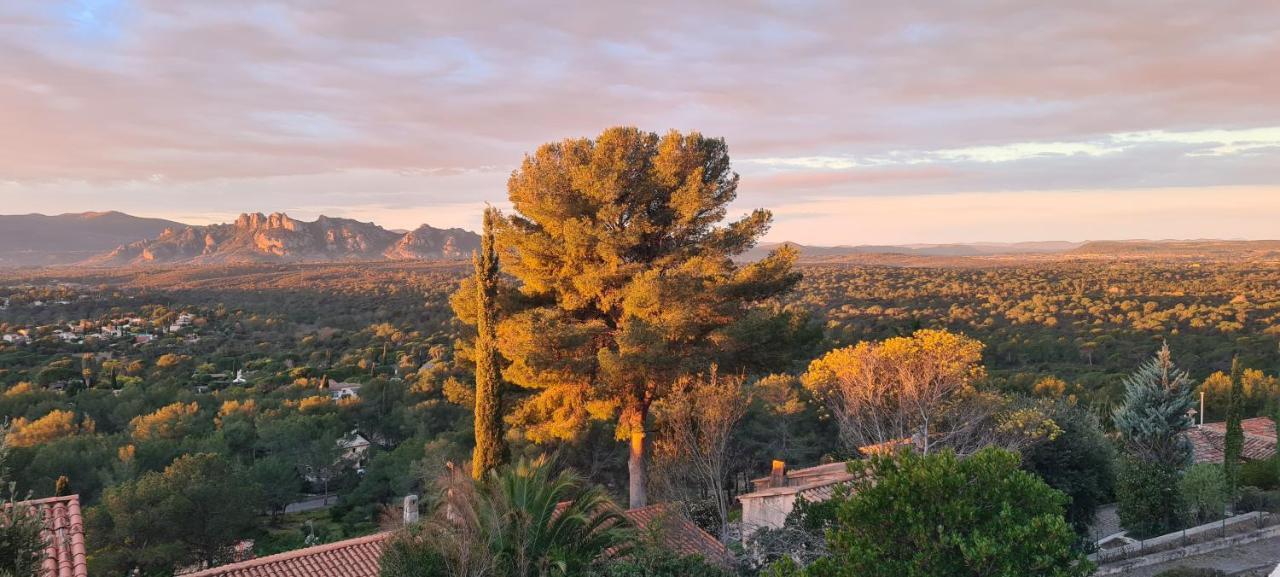 Corniche Du Paradis Bed and Breakfast Roquebrune-sur-Argens Exterior foto